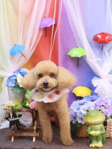 20230627のえるくん